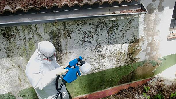 Top rated local Crawl Space Mold Remediation specialists in Somerset, PA